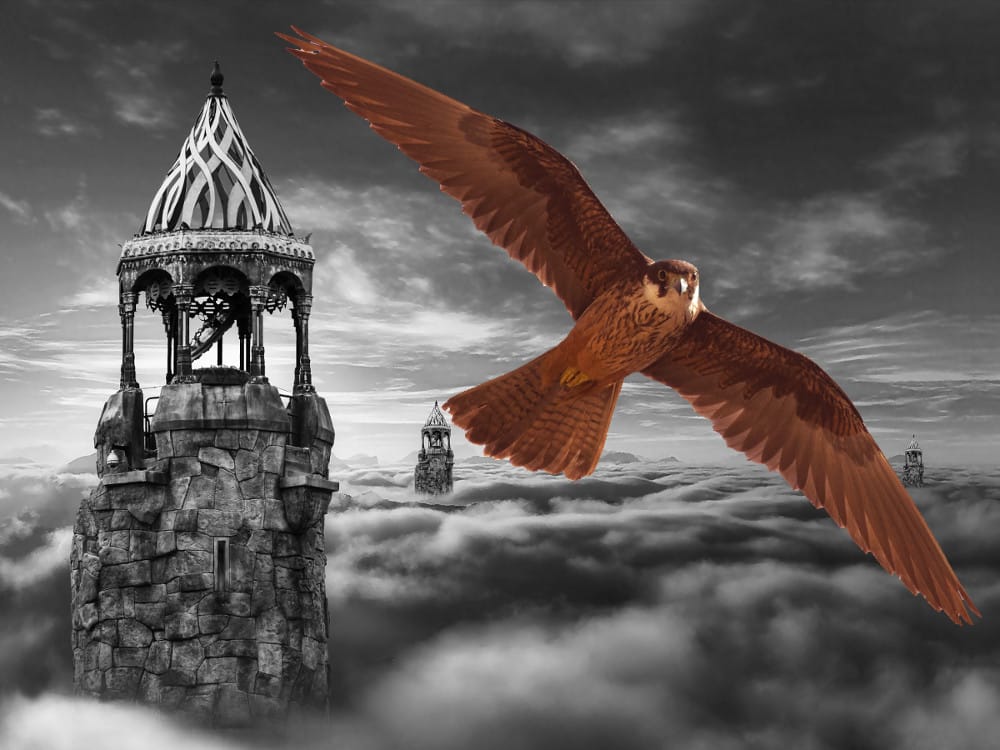 Death And The Dartford Warbler