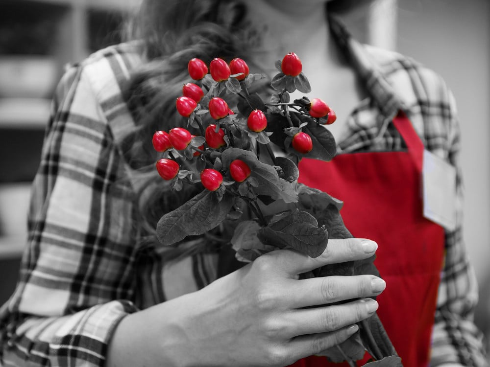 Cafés, Chemists And Holiday Camps