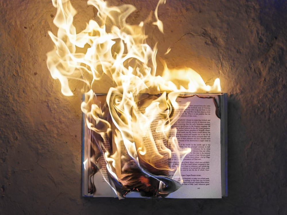 What Is A Political Novel?