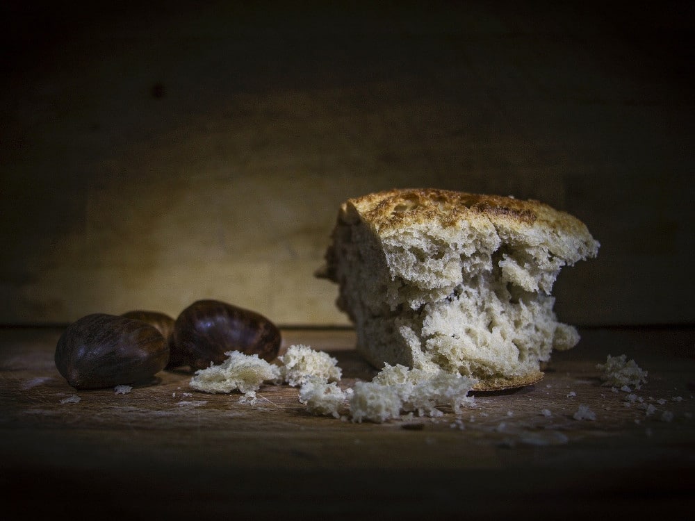 In Search Of Past Meals