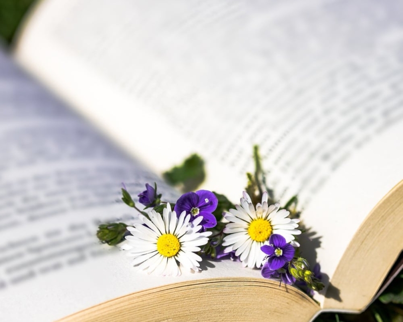 Books at Beltane