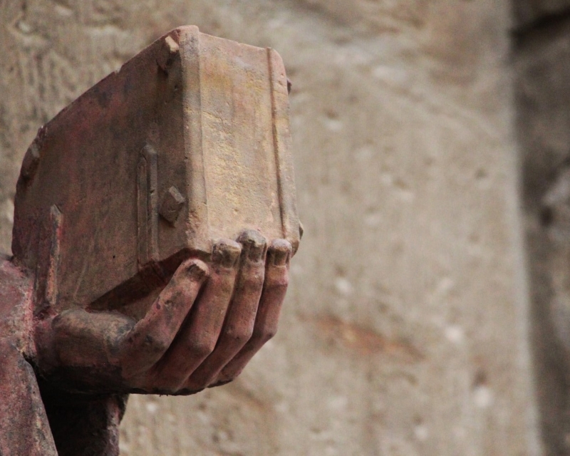 Hand holding book