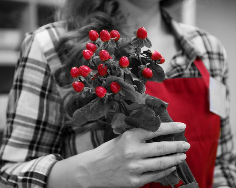 Young girl working in shop