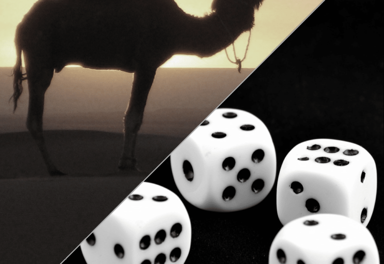 CamelDice