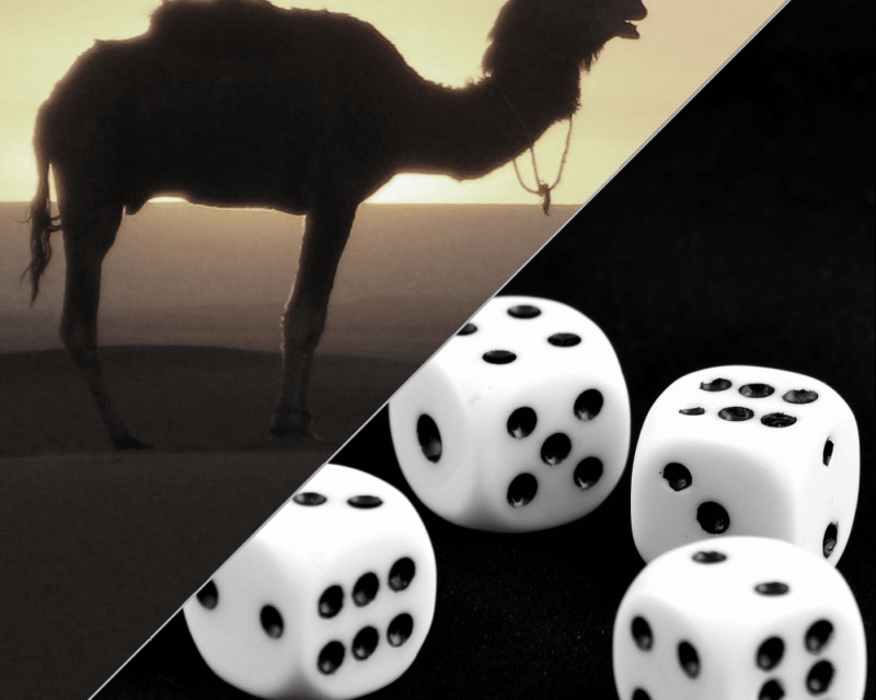 CamelDice