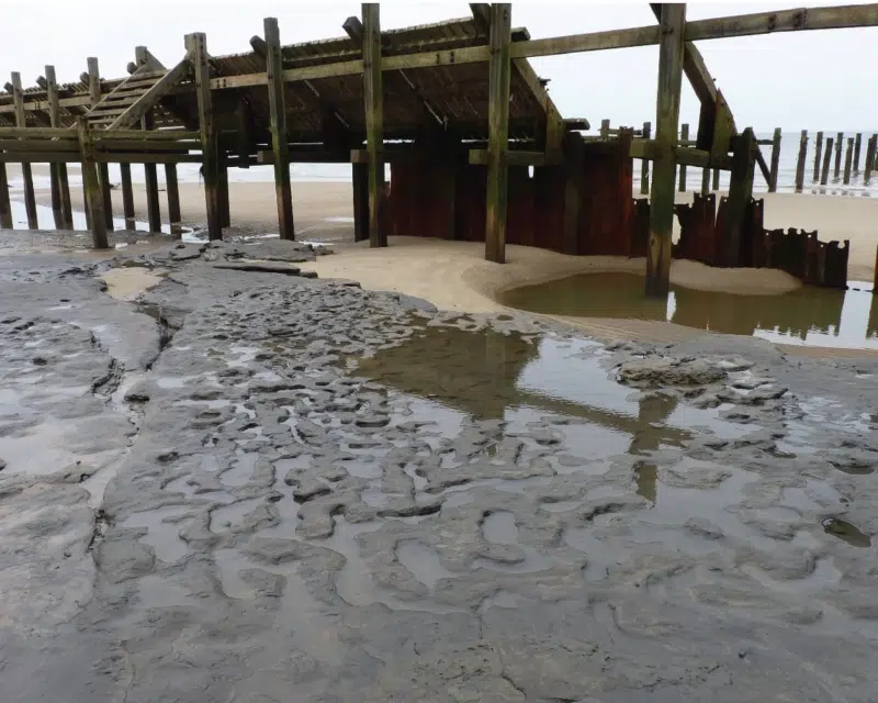 Happisburgh footprints