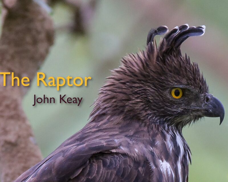 The Raptor - John Keay