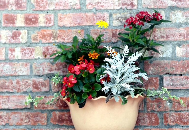 Flowerpot on a wall