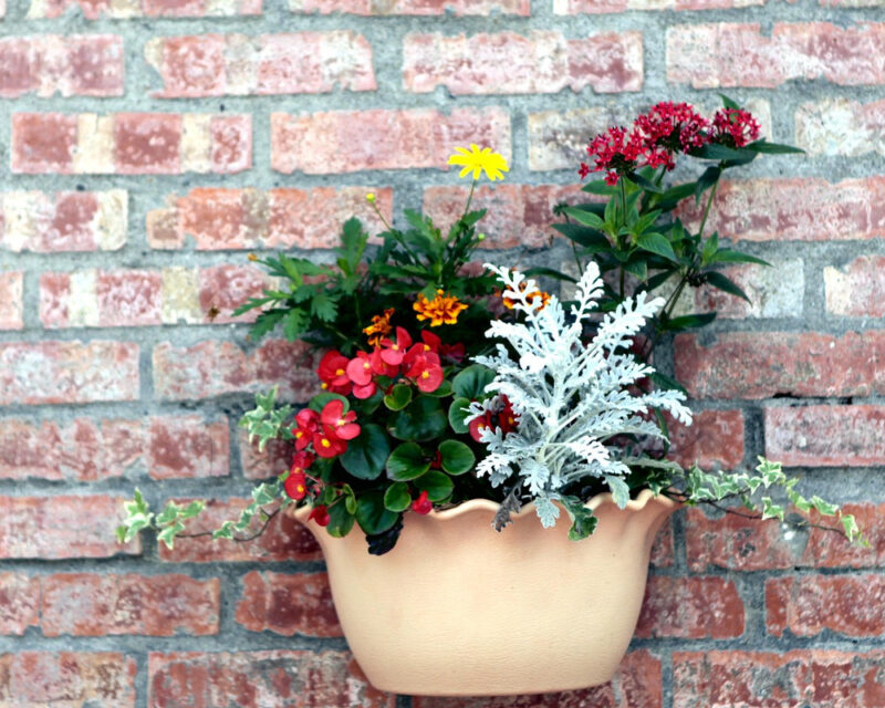 Flowerpot on a wall