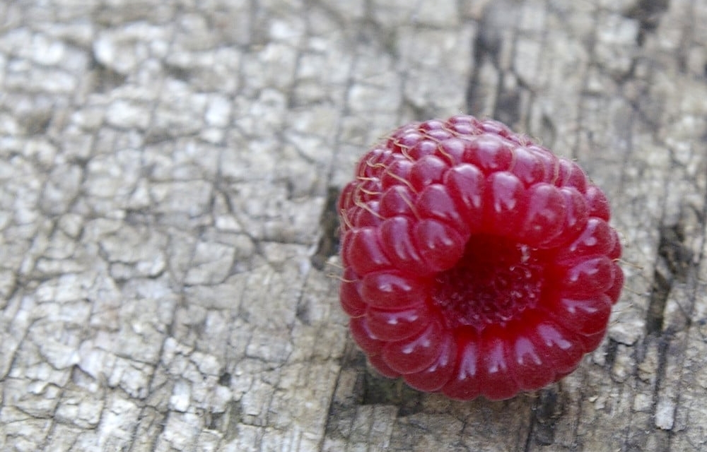 Raspberries on the Yangtze