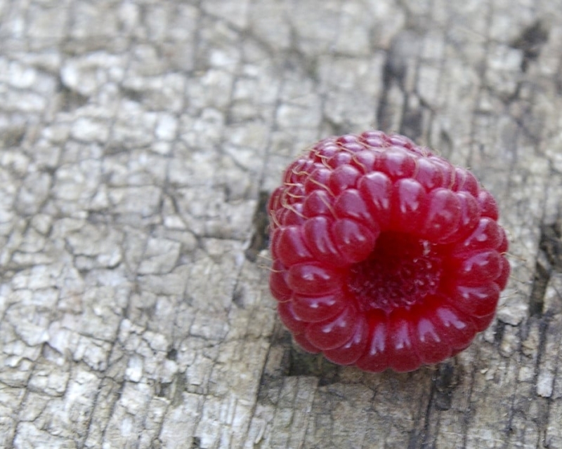 Raspberries on the Yangtze