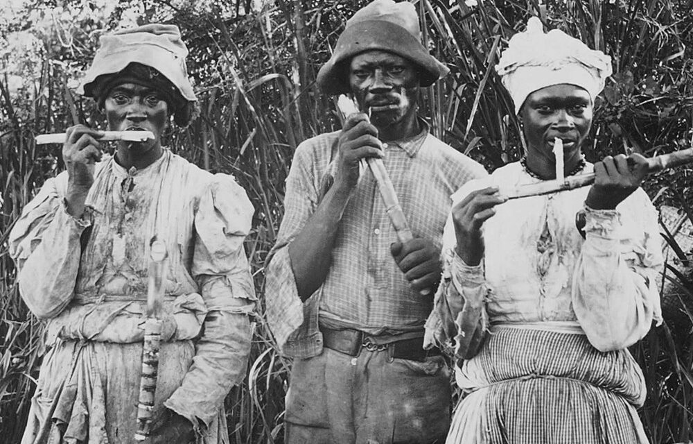 Slaves with sugar cane