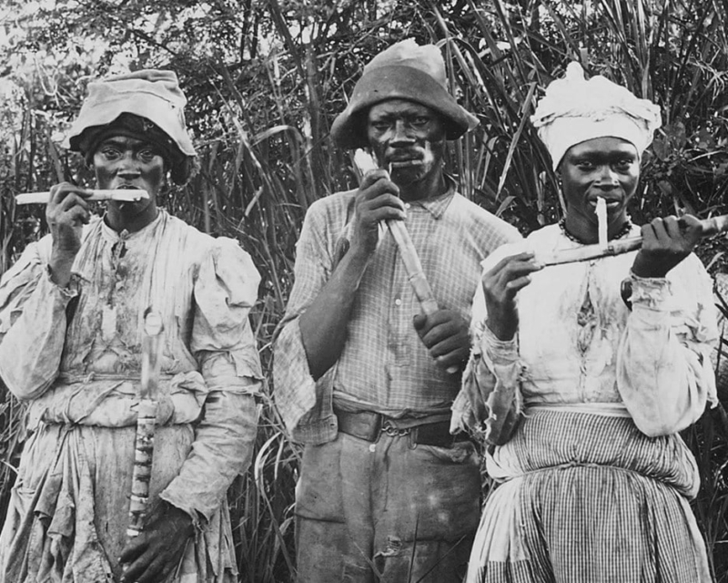 Slaves with sugar cane