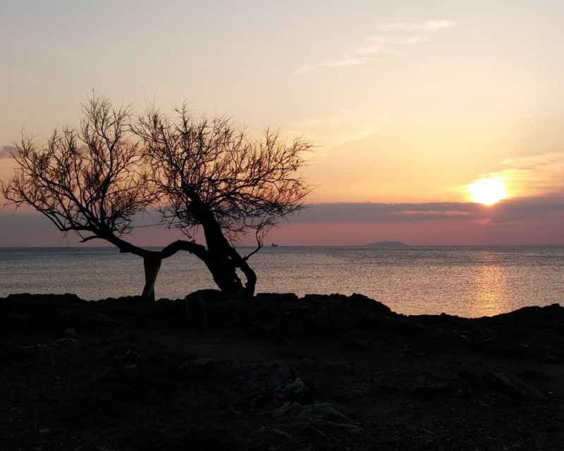 Sea and Tamarisk