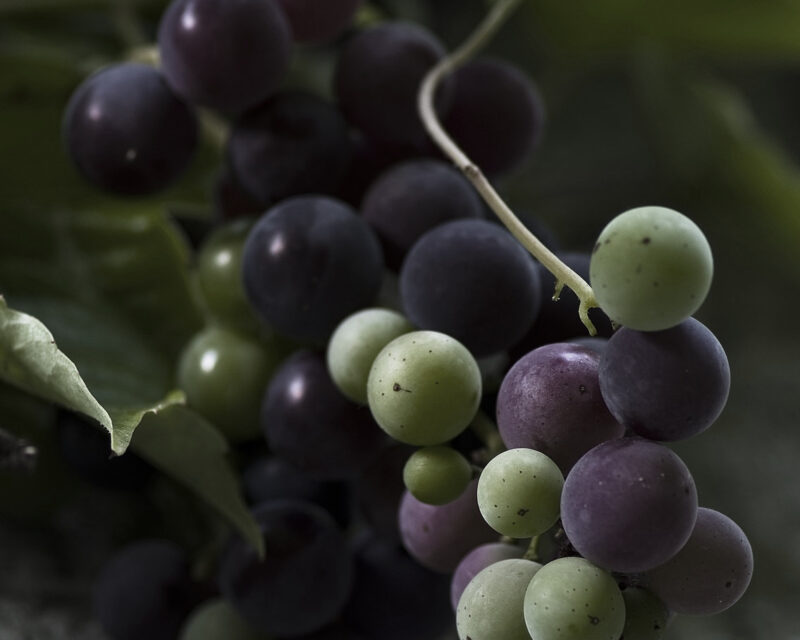 Black and green grapes