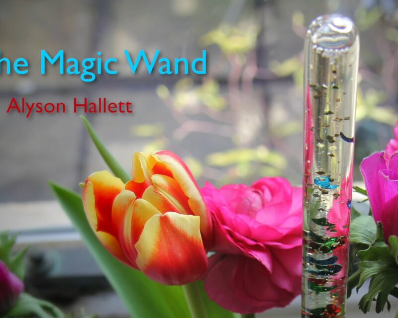 Alyson Hallett Magic Wand