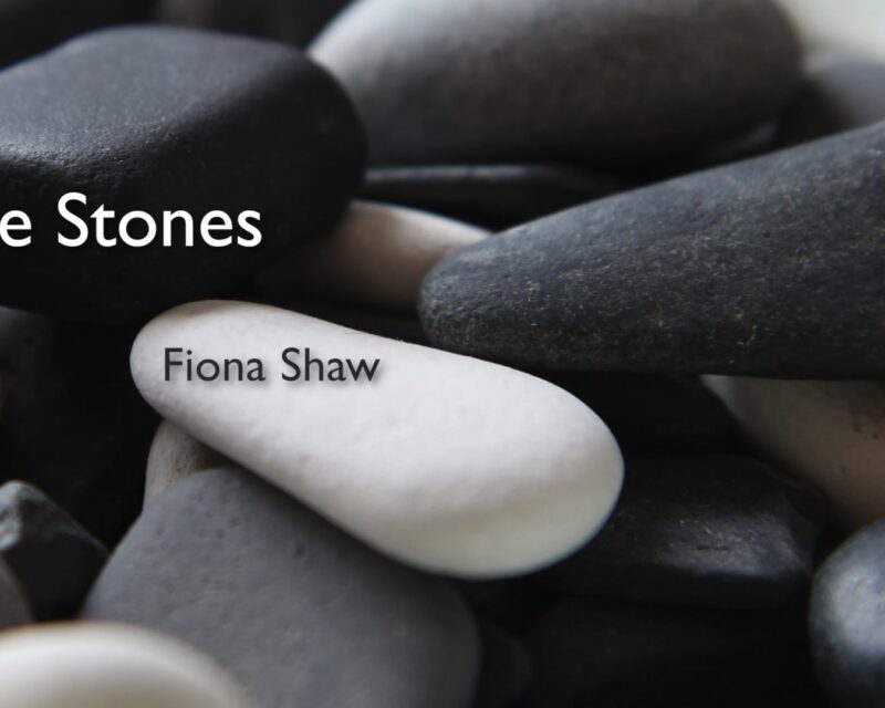 Collection of stones
