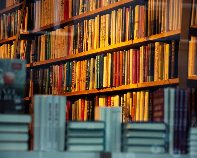 An image of books on a bookshelf.