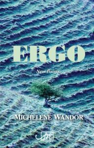The cover of Michelene Wandor's book of poetry, Ergo.