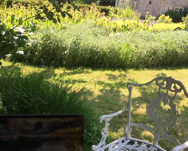 A seat under a tree in sunny garden of Shandy Hall