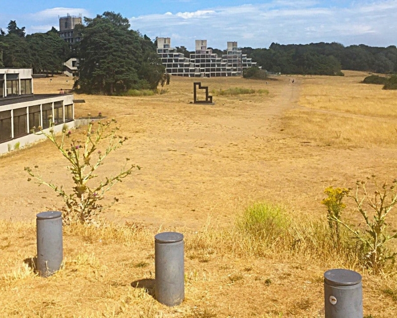 UEA | Chris Rose
