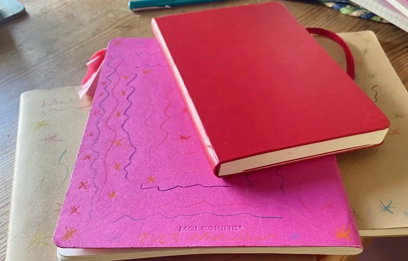 Stephanie Norgate's notebooks