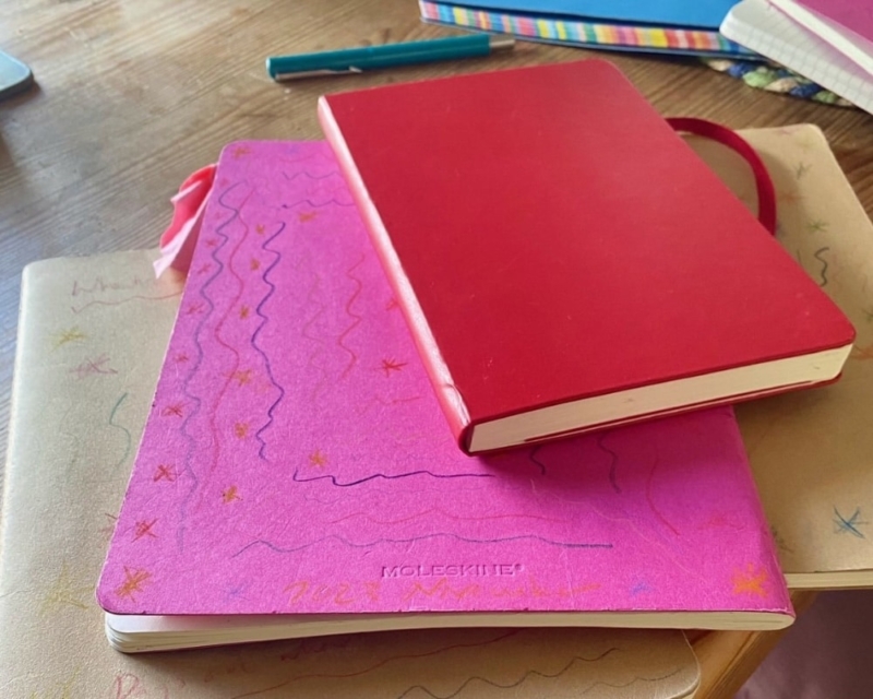 Stephanie Norgate's notebooks