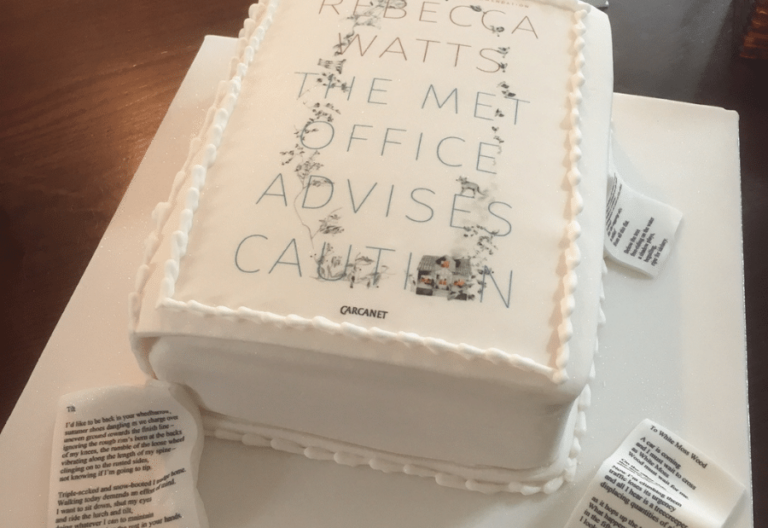 Rebecca Watts cake celebrating her book The Met Office Advises Caution