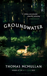 Groundwater Thomas McMullen