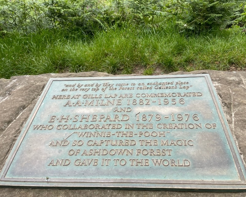 Sanjida O'Connell on Ashdown Forest