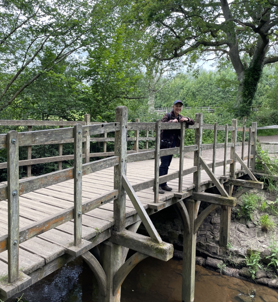 Sanjida O'Connell on Poohsticks Bridge, in Ashdown Forest