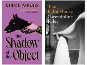 Booker Prize 2026 longlisted novels The Shadow of the Objest by Chloe Aridjis and The Palm House by Gwendoline Riley