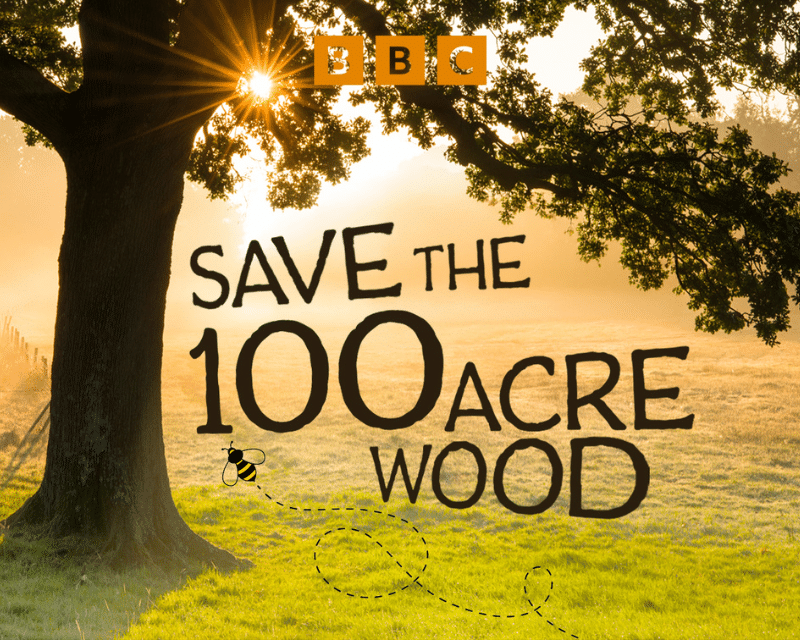 Save the Hundred Acre Wood for BBC Radio 4